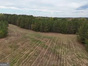 0 Washington Hwy Lexington, GA - 31 acres